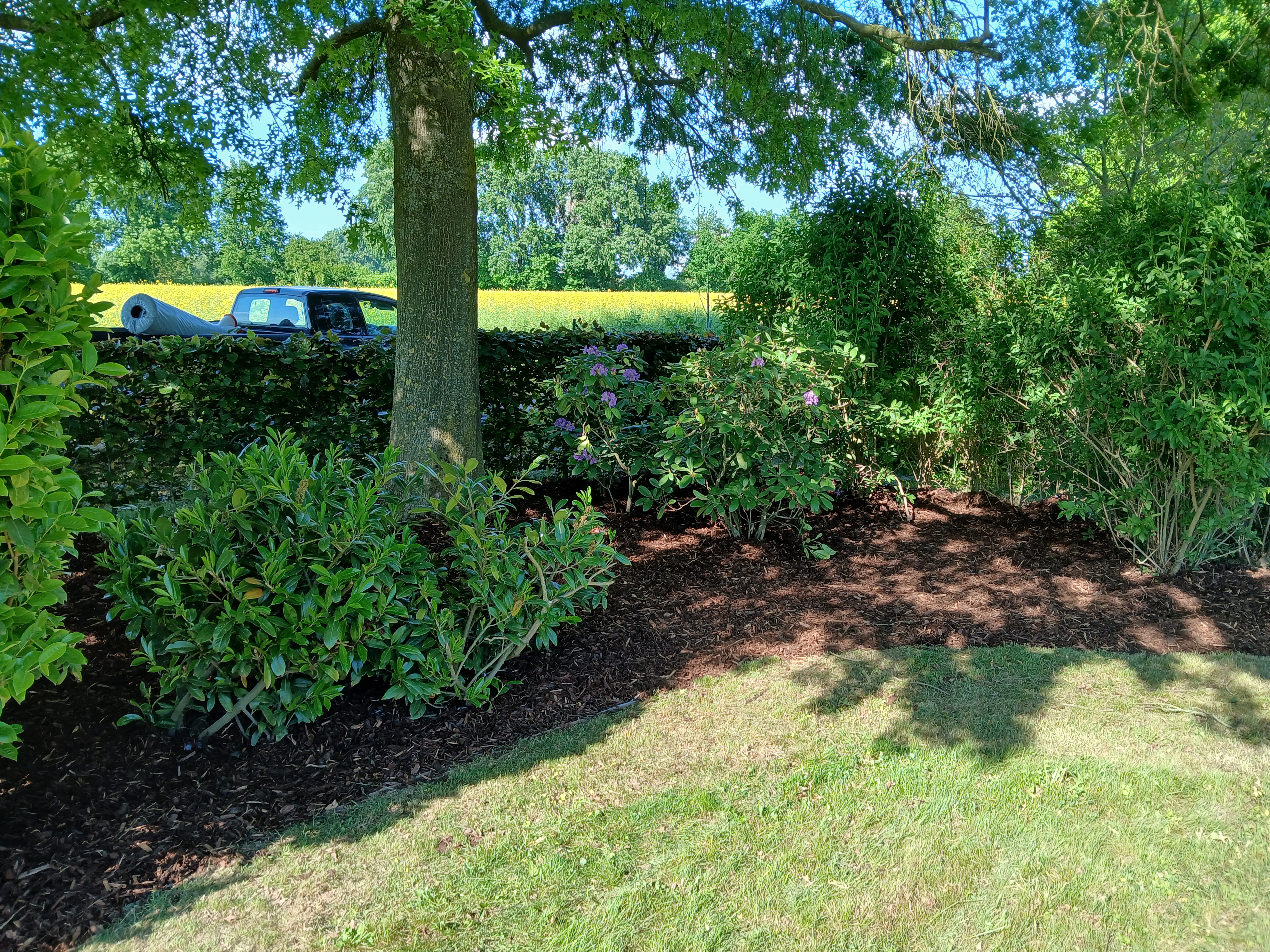 Beetgestaltung mit Mulch