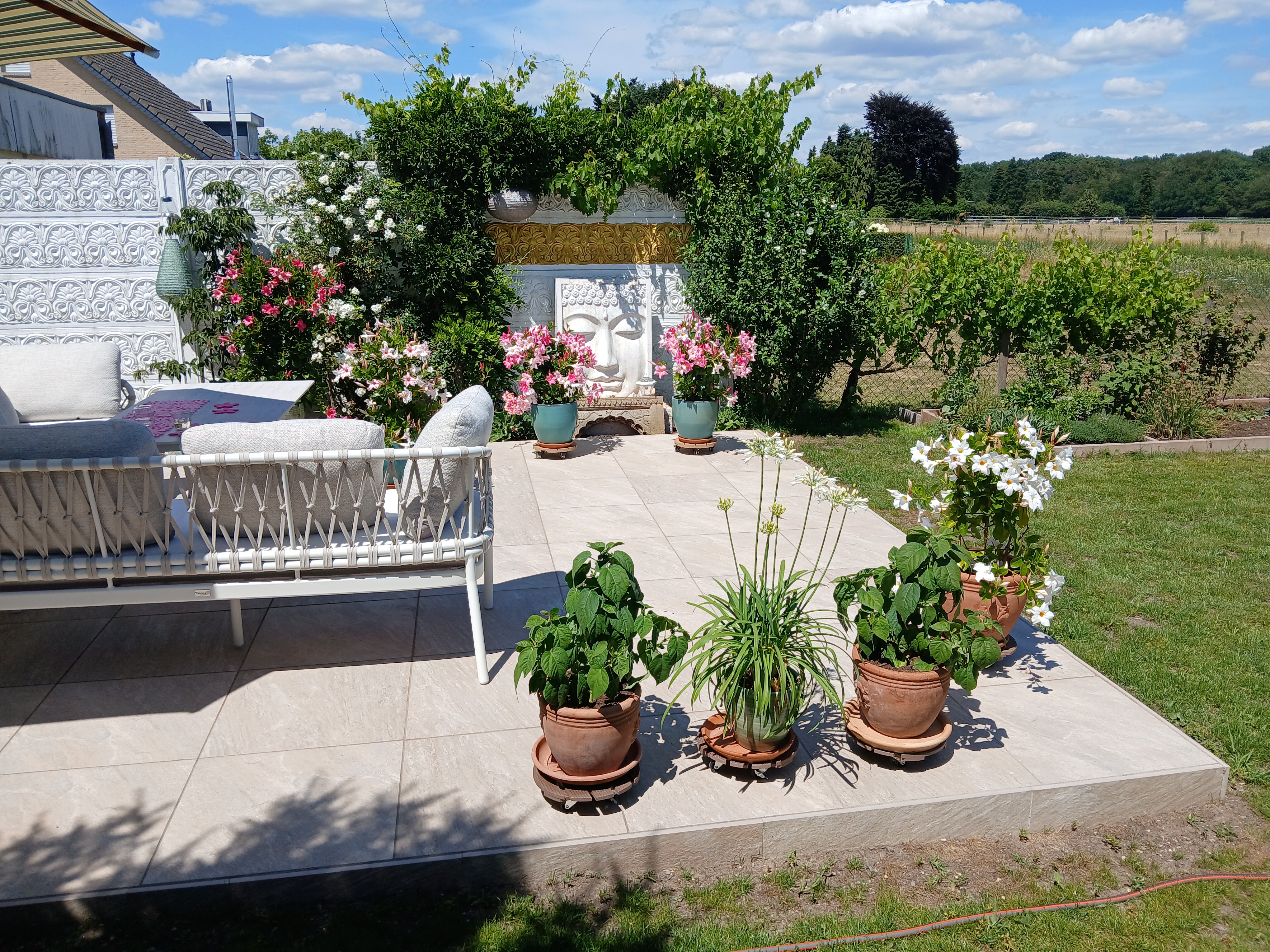 Terrassenverwandlung